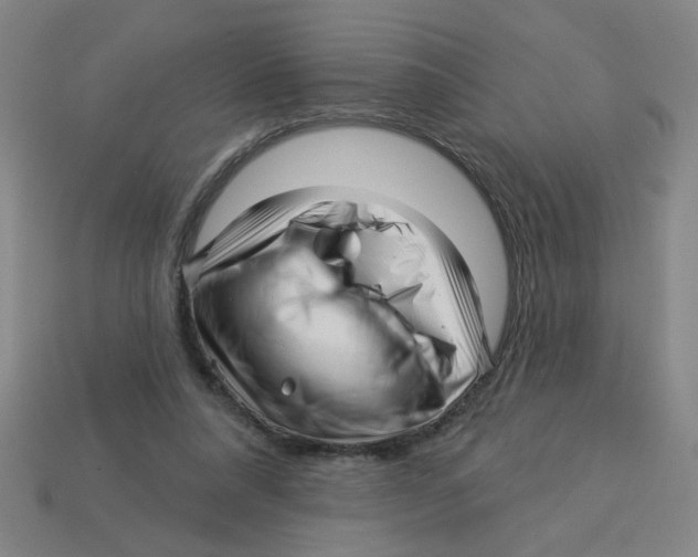 X0000113530304200910161355