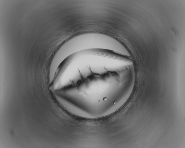 X0000113530305200910161355