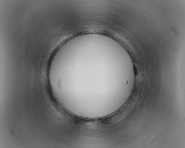 X0000113530306200910161355