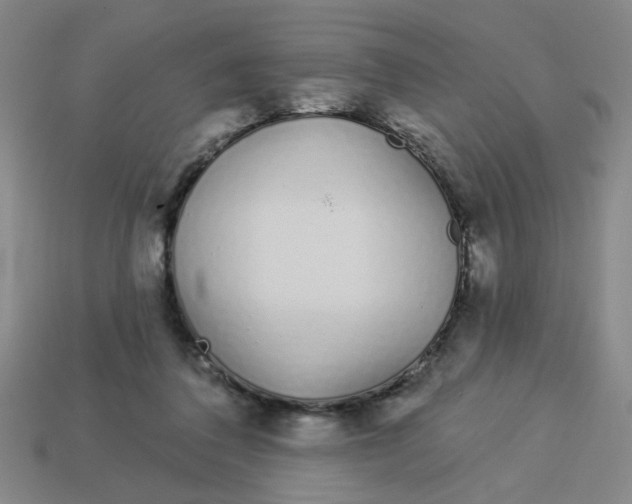 X0000113530308200910161355