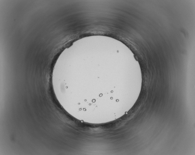 X0000113530309200910161355