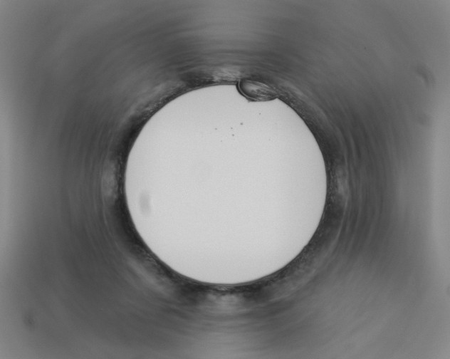 X0000113530311200910161355