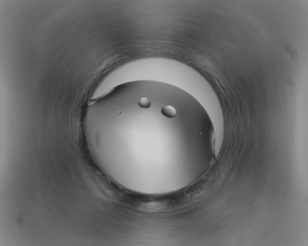 X0000113530312200910161355