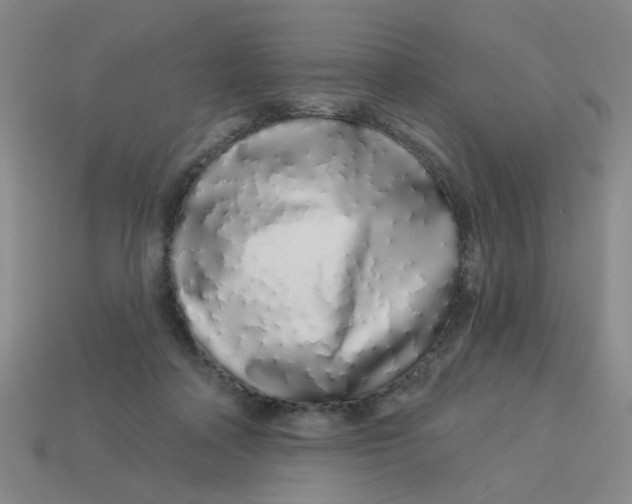 X0000113530314200910161355