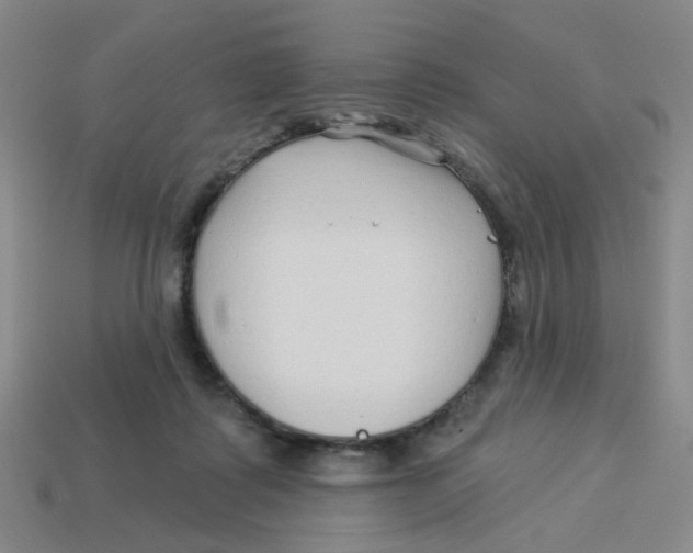 X0000113530315200910161355