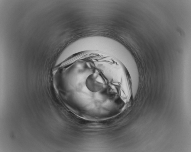 X0000113530316200910161355