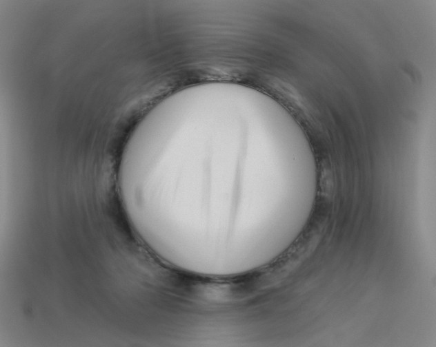 X0000113530318200910161355