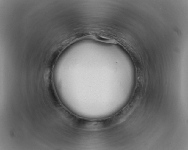 X0000113530319200910161355