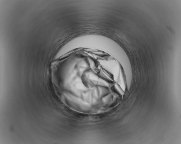 X0000113530320200910161355