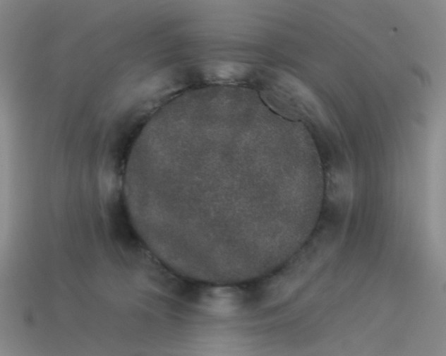 X0000113530324200910161355