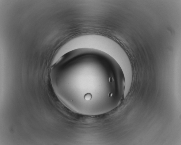 X0000113530325200910161355