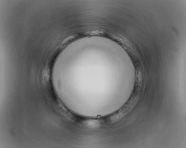 X0000113530326200910161355