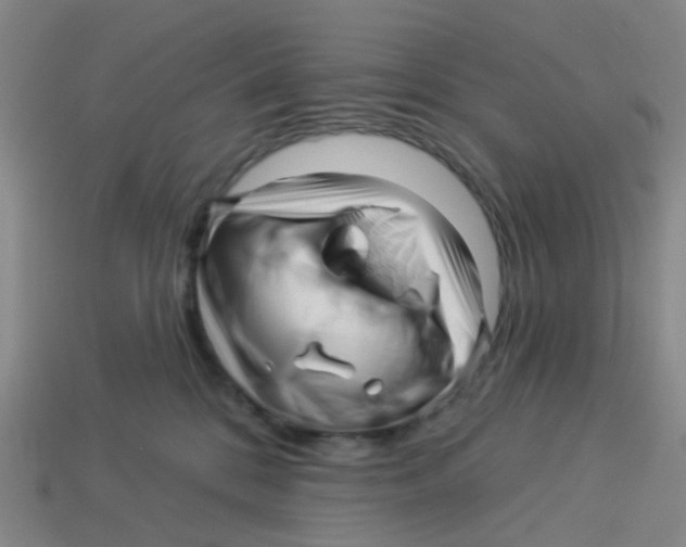 X0000113530328200910161355