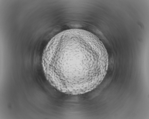 X0000113530330200910161355