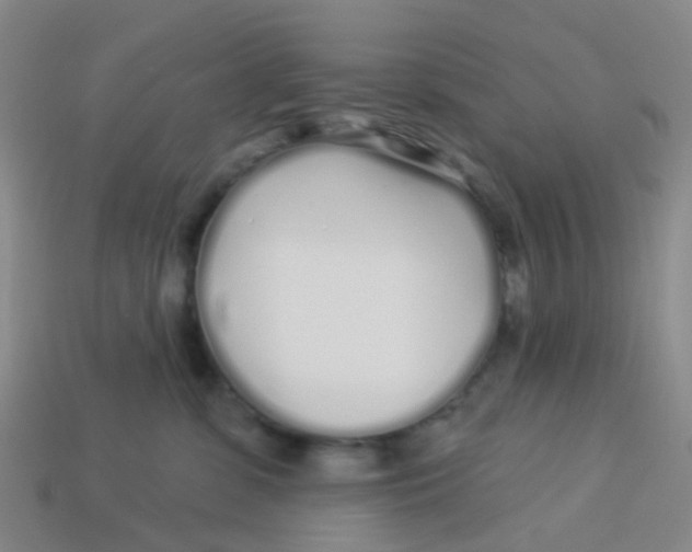 X0000113530331200910161355