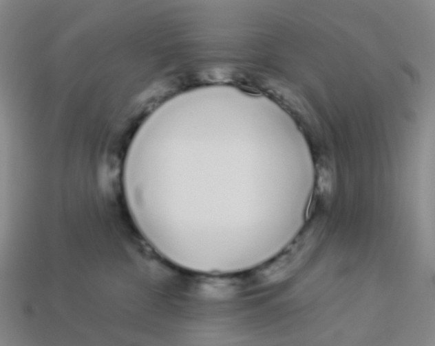 X0000113530332200910161355