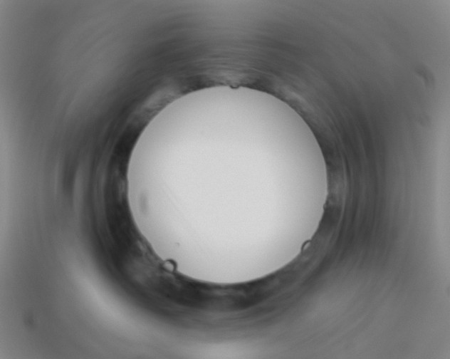 X0000113530334200910161355