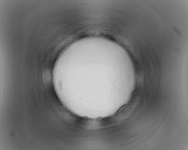 X0000113530335200910161355