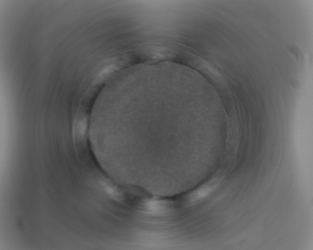 X0000113530336200910161355