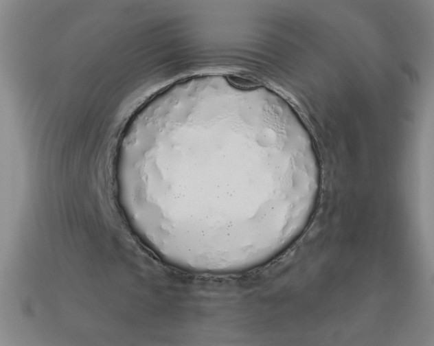 X0000113530337200910161354