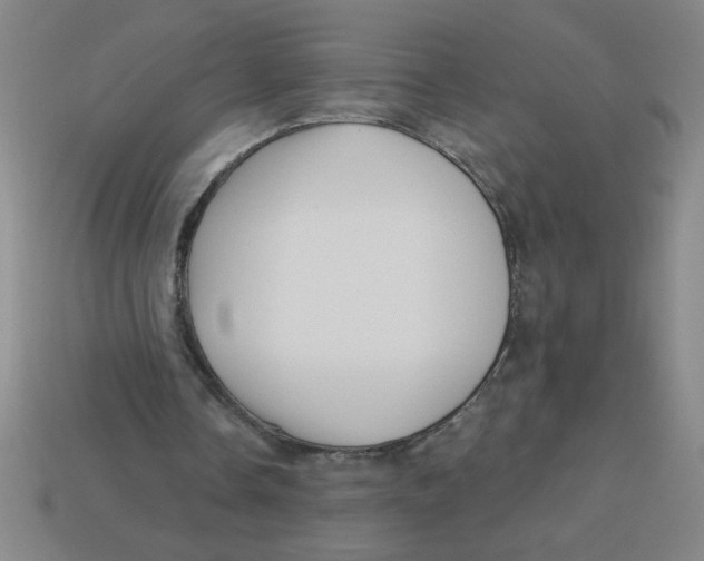 X0000113530338200910161354