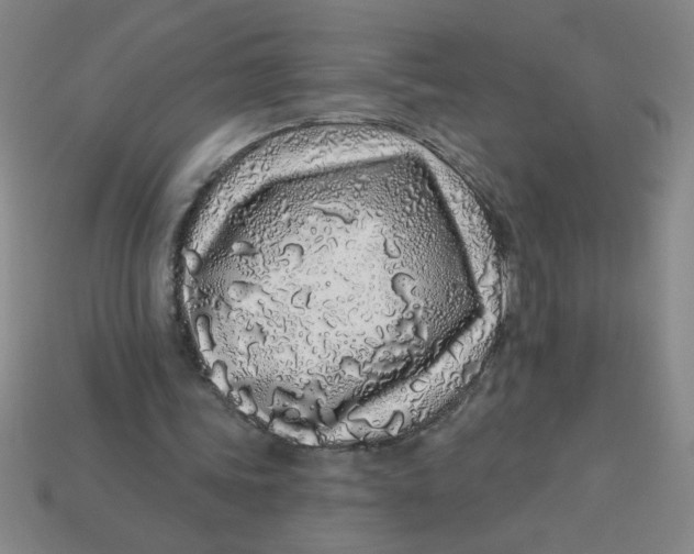 X0000113530339200910161354