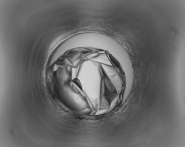 X0000113530340200910161354