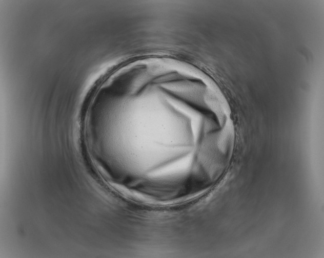 X0000113530342200910161354