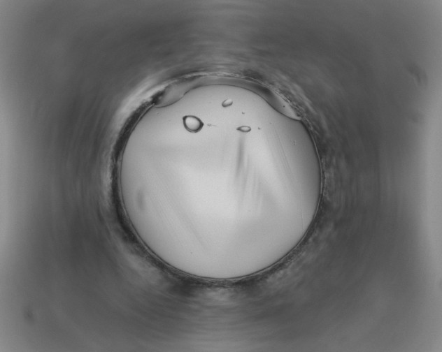 X0000113530344200910161354