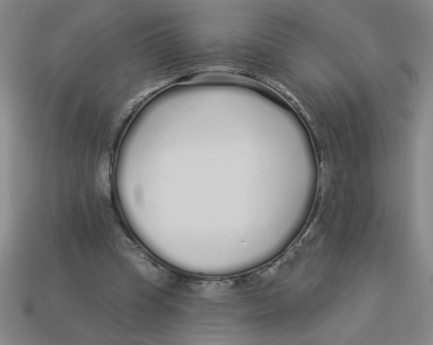 X0000113530345200910161354