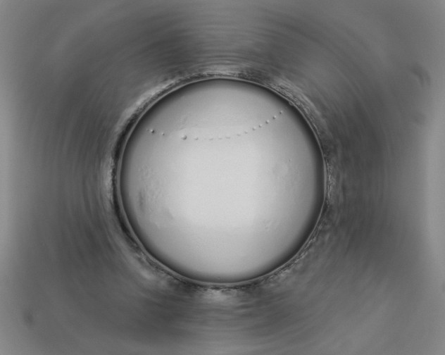 X0000113530346200910161354