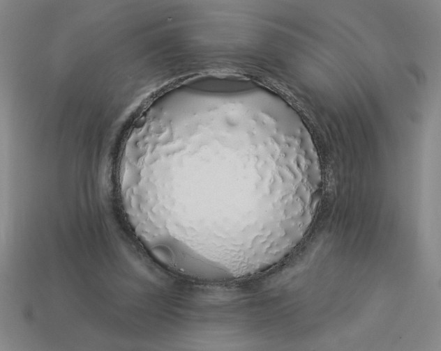 X0000113530347200910161354