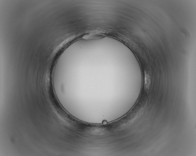 X0000113530348200910161354