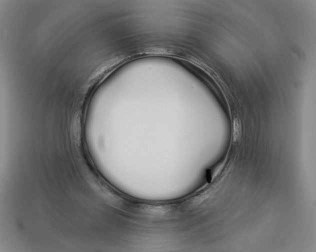 X0000113530349200910161354