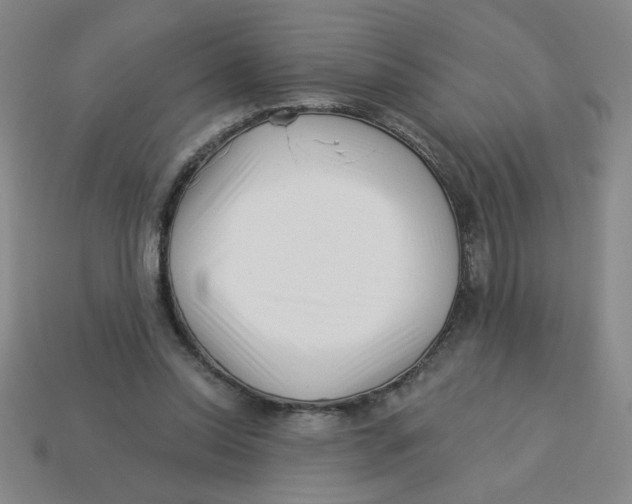 X0000113530350200910161354