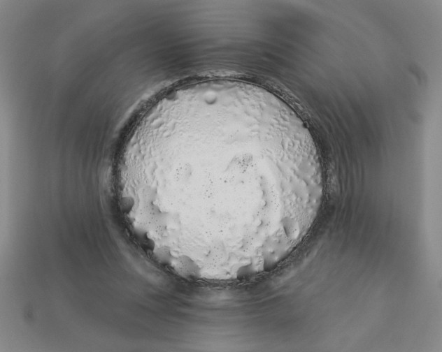 X0000113530351200910161354