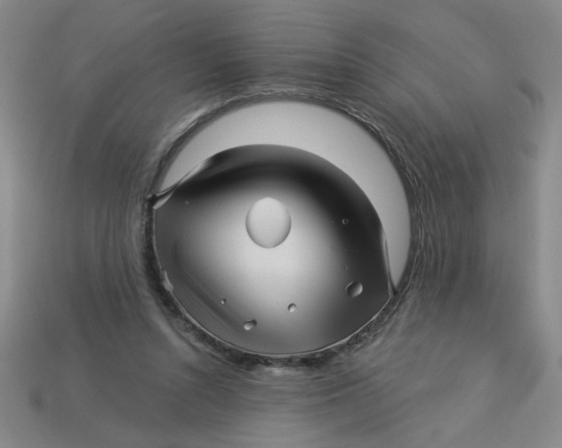 X0000113530352200910161354