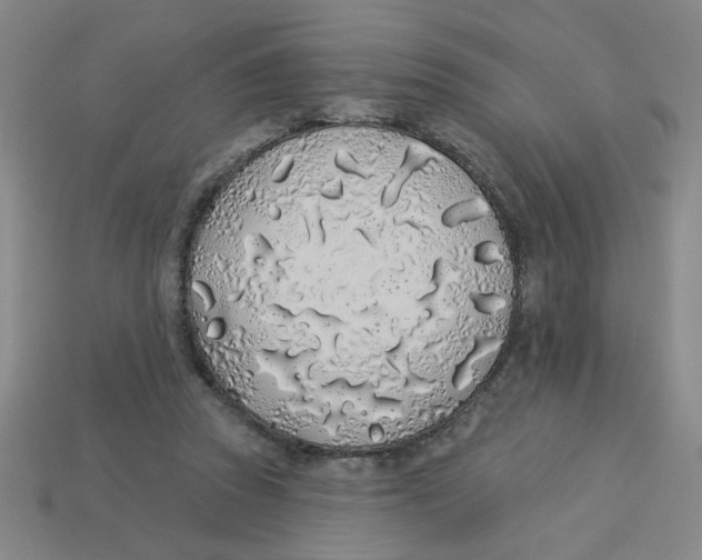 X0000113530353200910161354