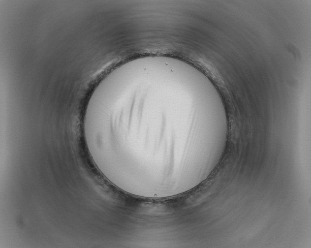 X0000113530354200910161354