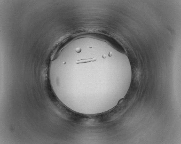 X0000113530356200910161354