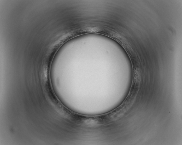 X0000113530358200910161354