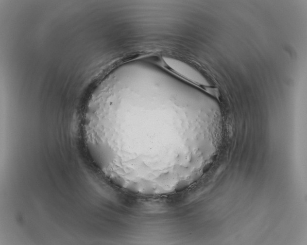 X0000113530359200910161354