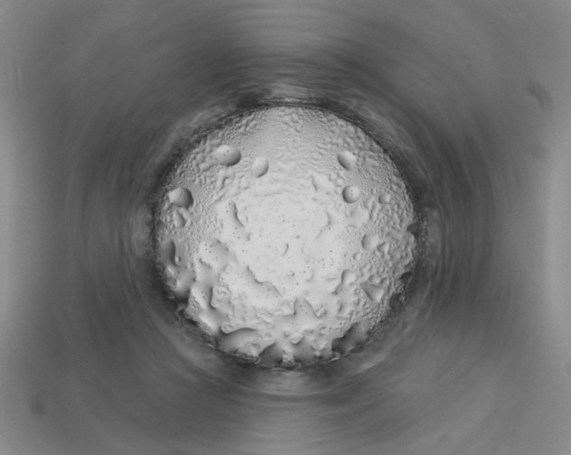 X0000113530361200910161354