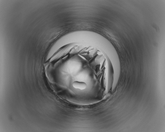 X0000113530362200910161354