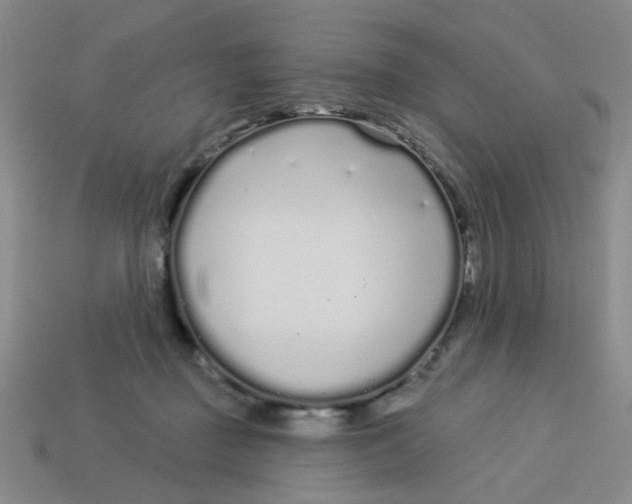 X0000113530363200910161354