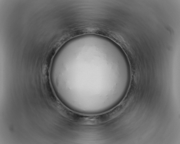 X0000113530366200910161354