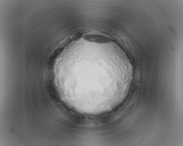 X0000113530367200910161354