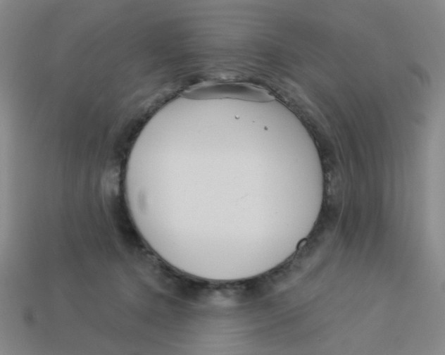 X0000113530368200910161355