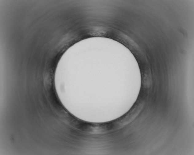 X0000113530370200910161355