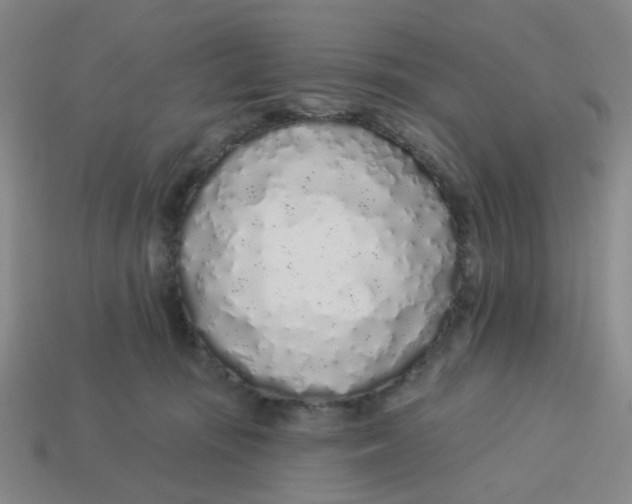 X0000113530371200910161355